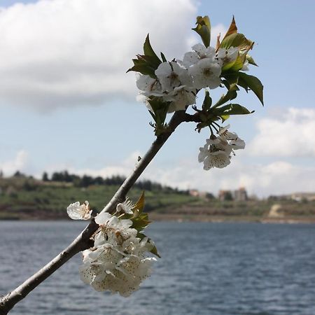 Zimer Al-Bayt Mas'ada ภายนอก รูปภาพ