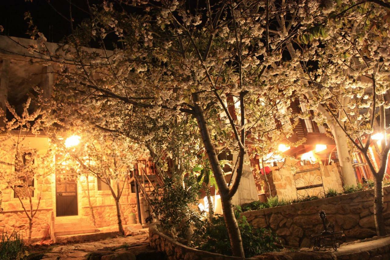 Zimer Al-Bayt Mas'ada ภายนอก รูปภาพ